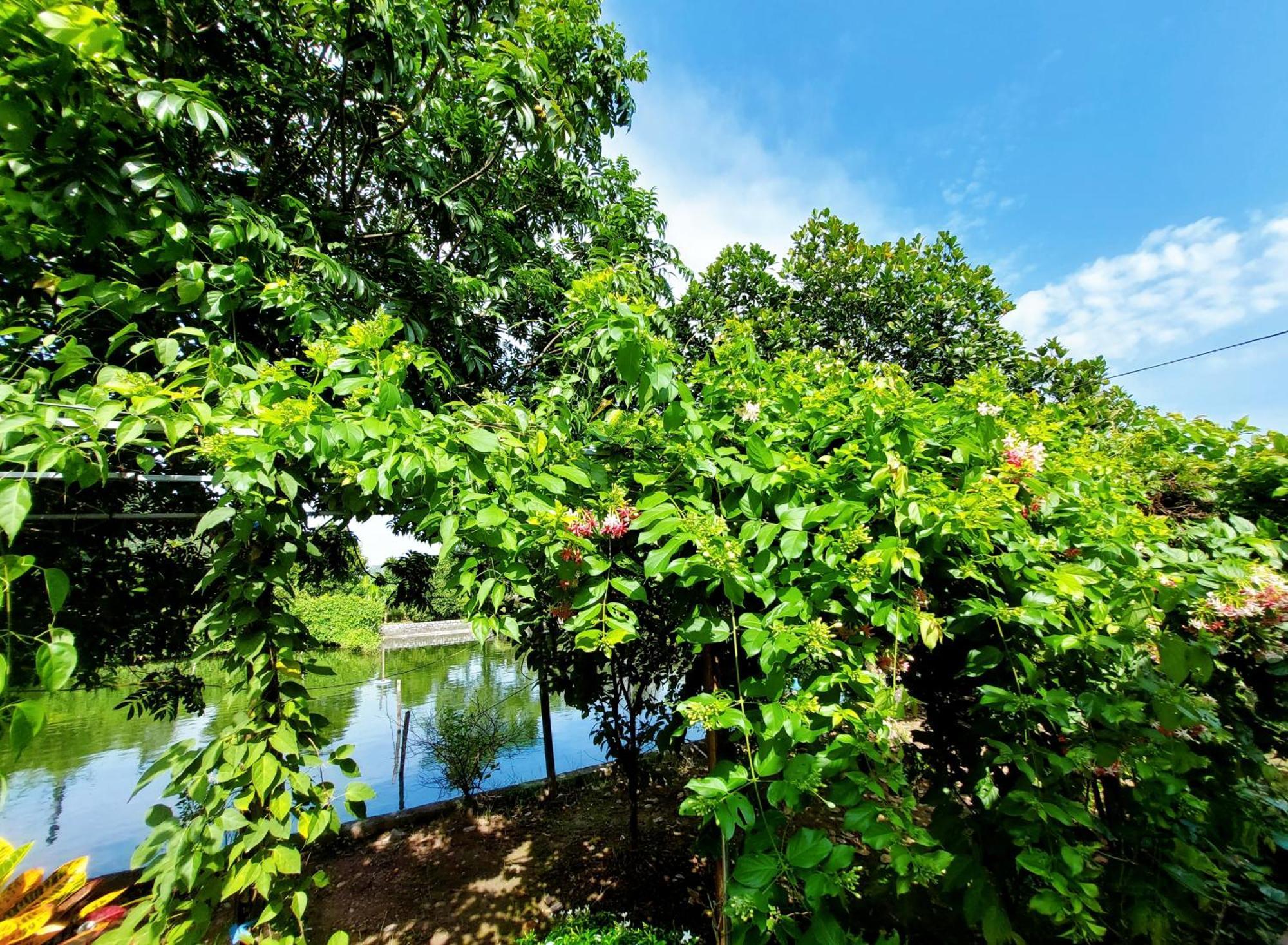 Ninh Binh Green Farmstay La Phu  Exterior foto